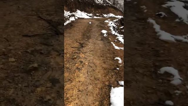 Кавказский овчарка Бойка Турецкий кангал булут смотреть онлайн