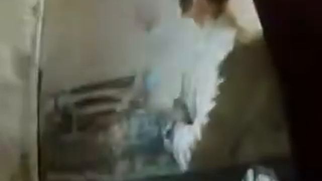 Обзор журналов про недвижимость в Торонто. смотреть онлайн