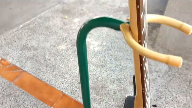 Washburn N1, Nuno Bettencourt смотреть онлайн