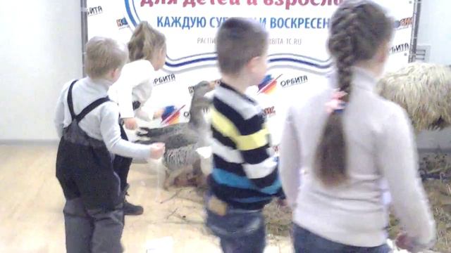 Контактный зоопарк выезд, Москва смотреть онлайн