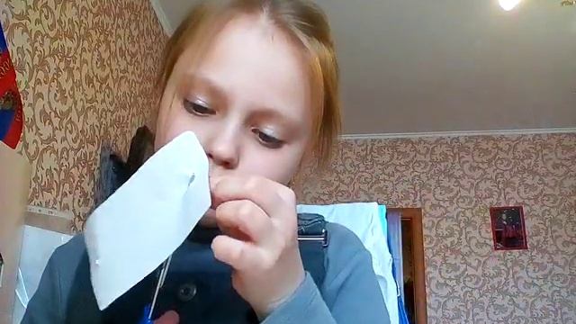 Как сделать чехол на телефон из бумаги смотреть онлайн