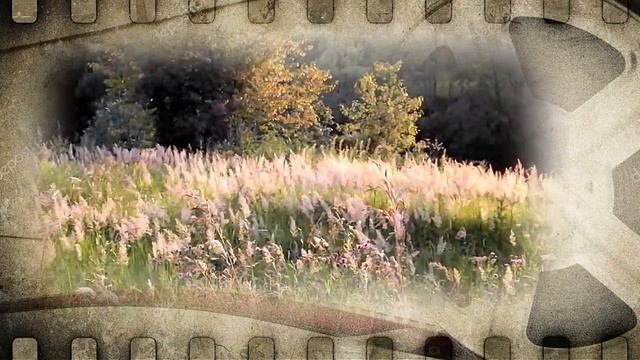 Я хочу назад в СССР. смотреть онлайн