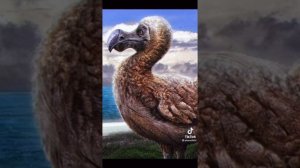 Какие звуки издавали вымершие животные часть1.