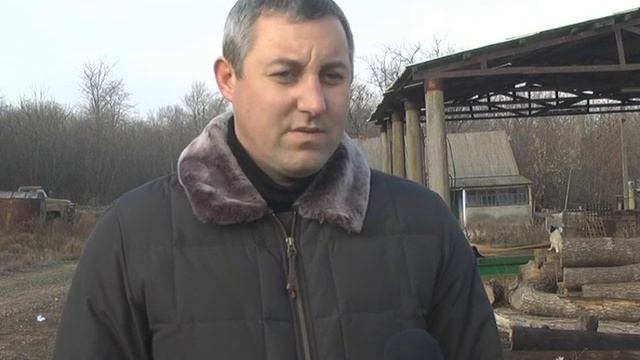 веселиново 23 11 2014 смотреть онлайн