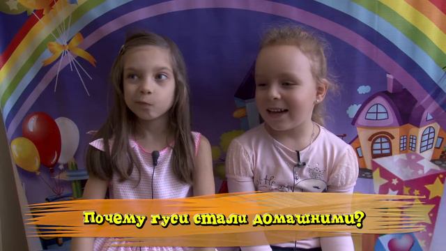Почему гуси стали домашними? смотреть онлайн