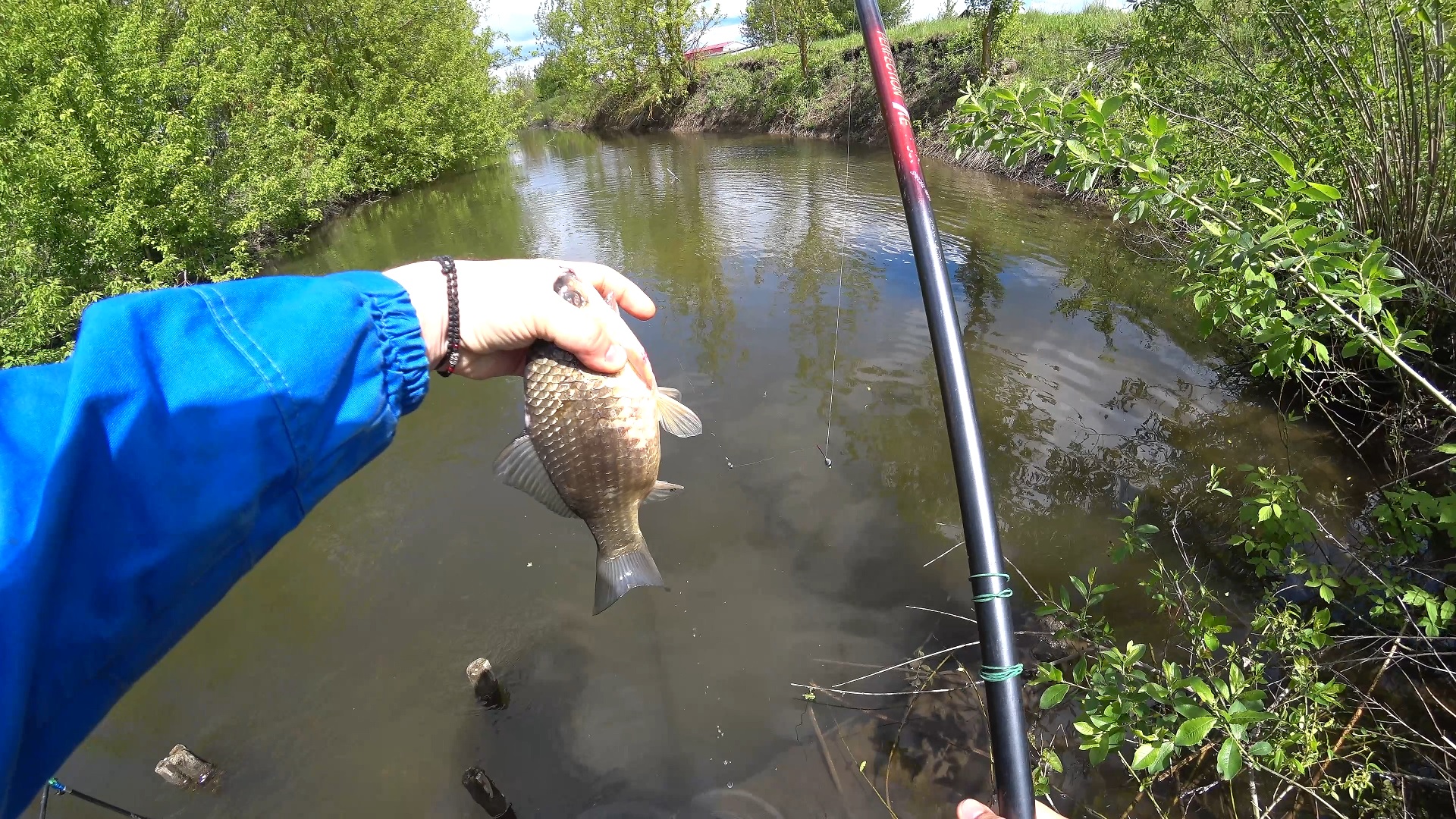 Поплавочная ловля белой рыбы в каналах Орловской области. День 2