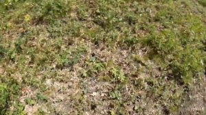 ЖЕСТКИЙ ПРОХВАТ? ИСПЫТАНИЕ RACER PANTHER 250????⛔️⛔️⛔️⛔️