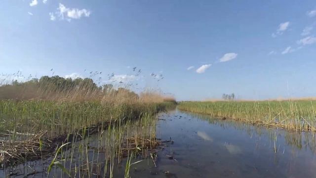 Брп покоряет болото смотреть онлайн