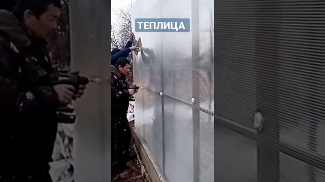 ТЕПЛИЦА СВОИМИ РУКАМИ / Как сделать теплицу смотреть онлайн
