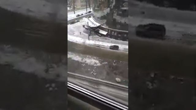 Голодные Бакланы кушает племени?? смотреть онлайн