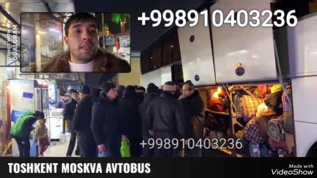 Ташкент Москва Автобус Танловда Адашмен смотреть онлайн