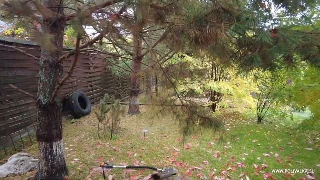 Профилактика системы спустя 10 лет