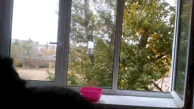 Сделай Сам для Любви к Творчеству