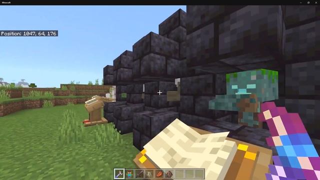 The BEST Morph Addon for Minecraft Bedrock! смотреть онлайн