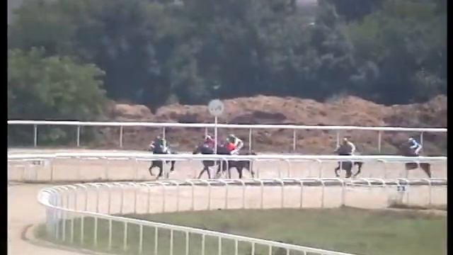 31.07.11.Приз Пятигорска ар. пор.-Вист. смотреть онлайн