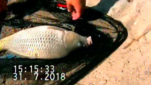 Первый выезд на Кулешовский пруд. смотреть онлайн