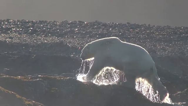 Не мешайте, я чайку снимаю! смотреть онлайн