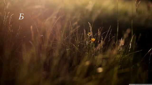 Все начинается с учителя. Трогательное стихотворение ко Дню учителя смотреть онлайн