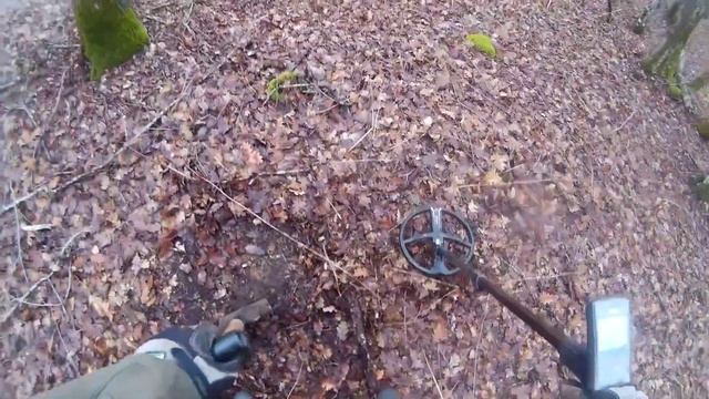 Xp Deus Поиск монет и кладов