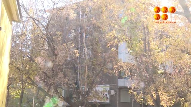 Как спилить сухое дерево смотреть онлайн