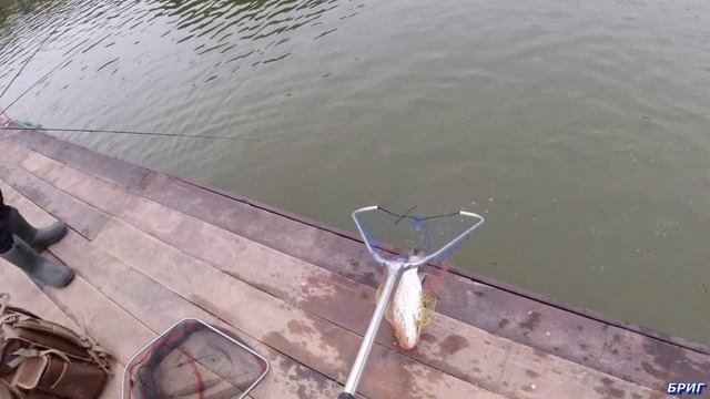 Рыболовный Клуб "РАСКАТЫ" . Ловля форели смотреть онлайн