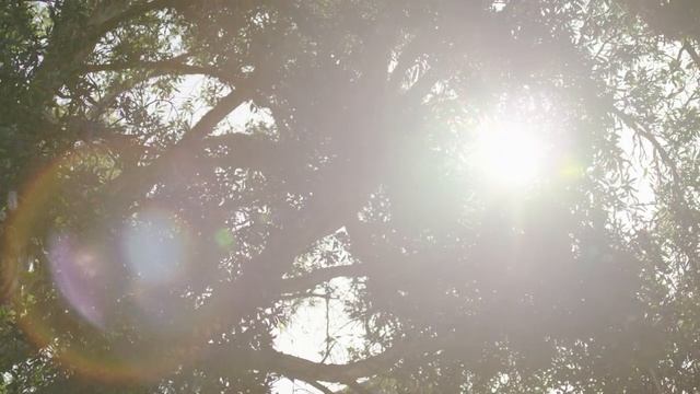 Module 1 | The Visual Language of Design // Teaser смотреть онлайн