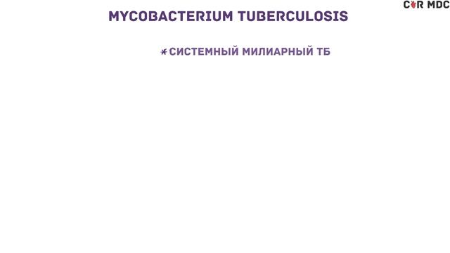 Туберкулез. Патоморфология смотреть онлайн