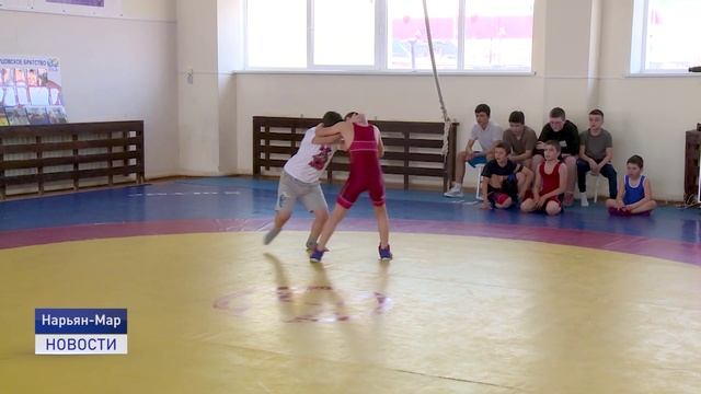 ВОЛЬНЫЕ БОРЦЫ