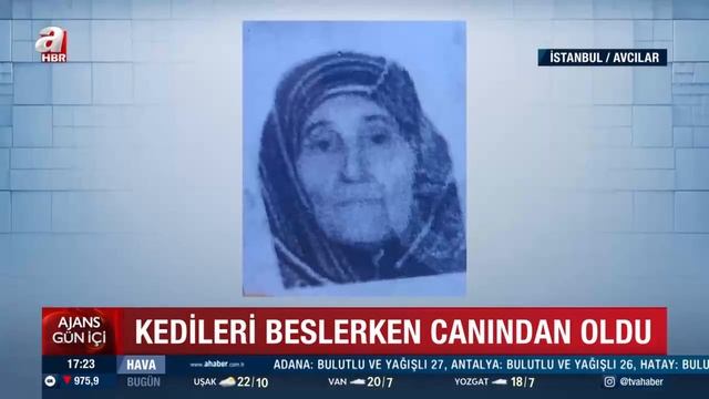 Kedileri beslerken canından oldu! Beton mikserinin altında kaldı смотреть онлайн