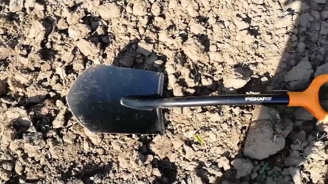 Коп металла в посадках на металлоискатель мд 4030. Нашел старую монету СССР