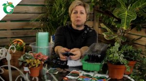 Выращиваем БОЛЬШОЙ и  ВКУСНЫЙ Арбуз в средней полосе ❦