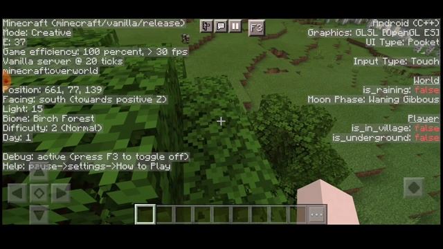 Java Debug Screen In Bedrock/Pocket Edition | Mods & Add-ons | Minecraft In Telugu | SG7997 смотреть онлайн
