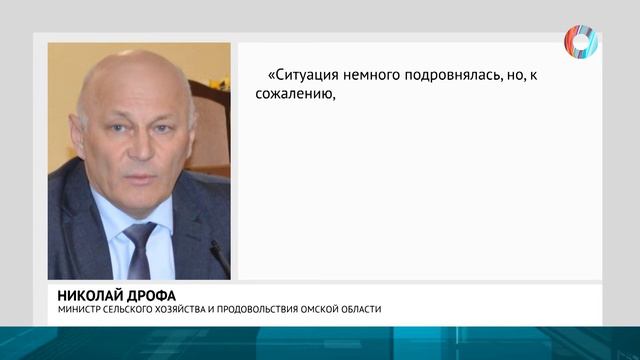 Погода виновата? смотреть онлайн