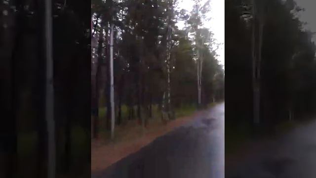 Хренатень утренняя.челябинск смотреть онлайн