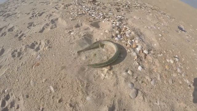 Ловля саргана в Черном море (Благовещенская) смотреть онлайн
