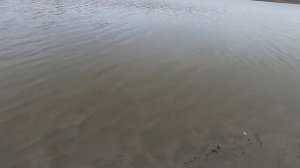 Новая  снасть ИЗ БУТЫЛКИ !!! Непредсказуемый финал ! ! !