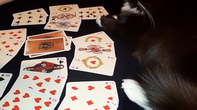 Крестовый Король♣️!!! Что сегодня происходит в его жизни??♠️♥️♦️ смотреть онлайн