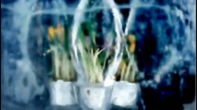 "Frozen Flowers" смотреть онлайн