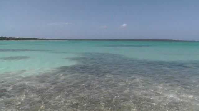 Отмель с морскими звёздами. смотреть онлайн