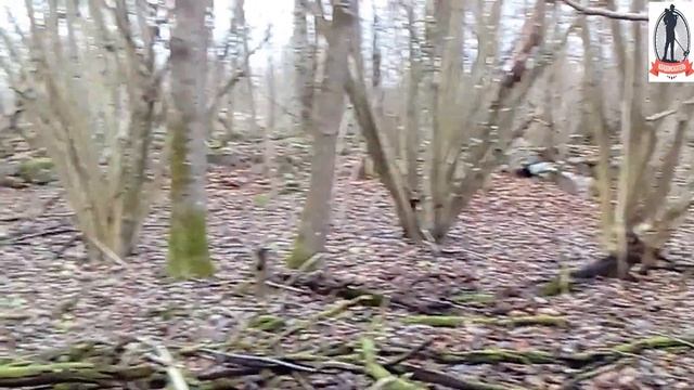 коп по восточной пруссии . подборка видео коп с металлоискателем смотреть онлайн