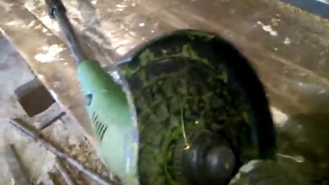 Отзыв. Электрический тример Протон ЭТ - 650. Дешево. Сердито. Работает. смотреть онлайн