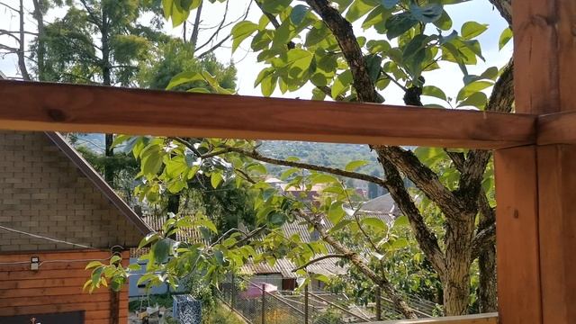 Сочи. Горное Лоо. Утро. +35°C. 14. 08.2023г.© смотреть онлайн