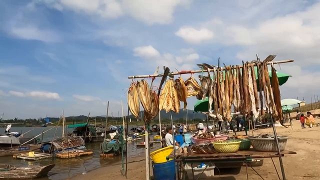 平！靓！正！绝对值得一来！佛山河鲜美食一条街！蚬6元！蛏子！爆糕蟹！牛肉！莲藕带！美味无敌！鲜到不得了！极少有！Seafood market and restaurant! Cheap! tasty смотреть онлайн