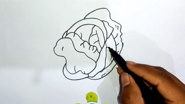 ҚҰРЫҚЫҚТЫҚ суретін салу Рисуем КАПУСТА 畫一個捲心菜的圖片 رسم صورة كاباج Drawing a picture of a CABBAGE смотреть онлайн