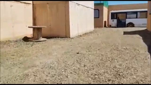 Точную копию карты de dust2 из игры Counter Strike построили под Астаной смотреть онлайн