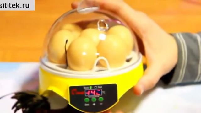 sititek ru video mini inkubator hhd 7 смотреть онлайн