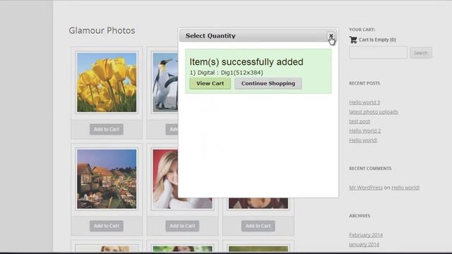 Sell Photos Using WordPress смотреть онлайн