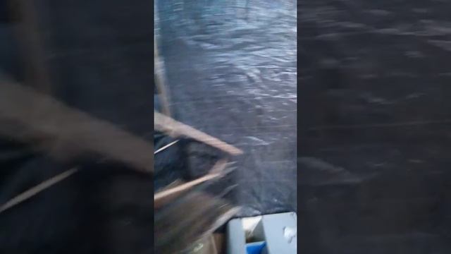 Вес калифорнийских крольчат в 2,5 месяца. Супер вес. смотреть онлайн