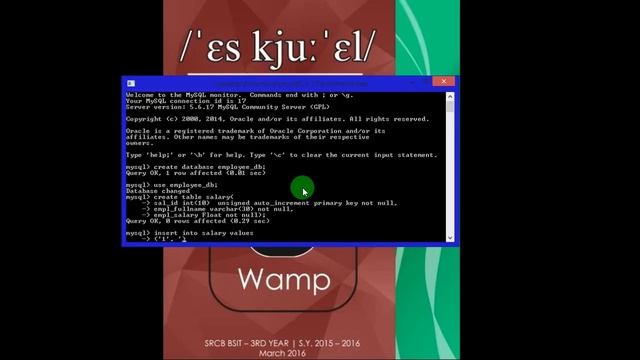 SRCB BSIT DBMS2: SQL SUM смотреть онлайн