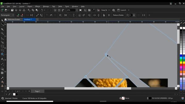 HOW TO MAKE PHOTO COLLAGE IN COREL DRAW?